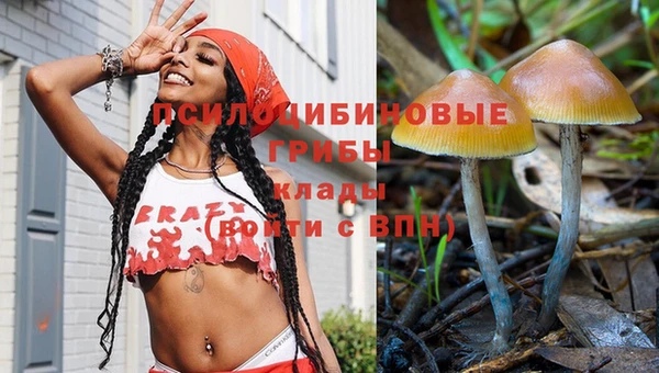 винт Алексеевка