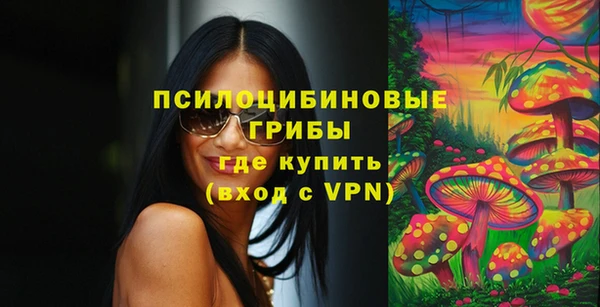 МДПВ Алзамай