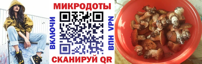 сайты даркнета официальный сайт  магазин продажи   Кукмор  Псилоцибиновые грибы Magic Shrooms 